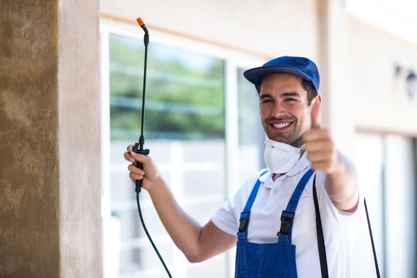 Lakeside Wasp Removal