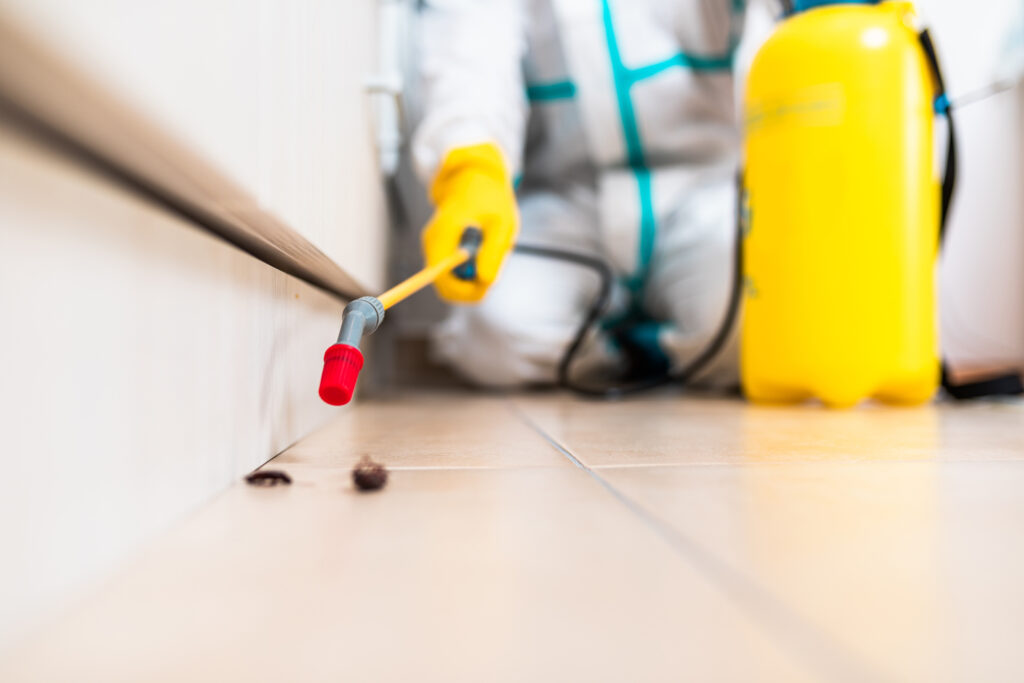 Lakeside Cockroach Experts