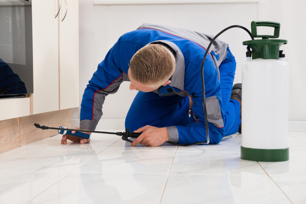 Lakeside Ant Control Xperts