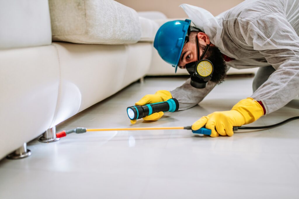 Lakeside Termite Control