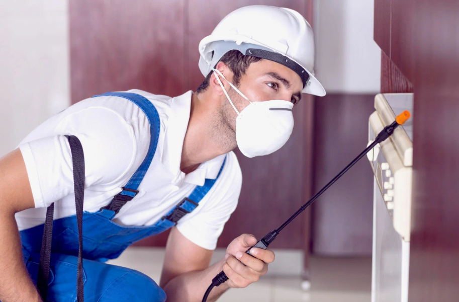 Lakeside local pest services